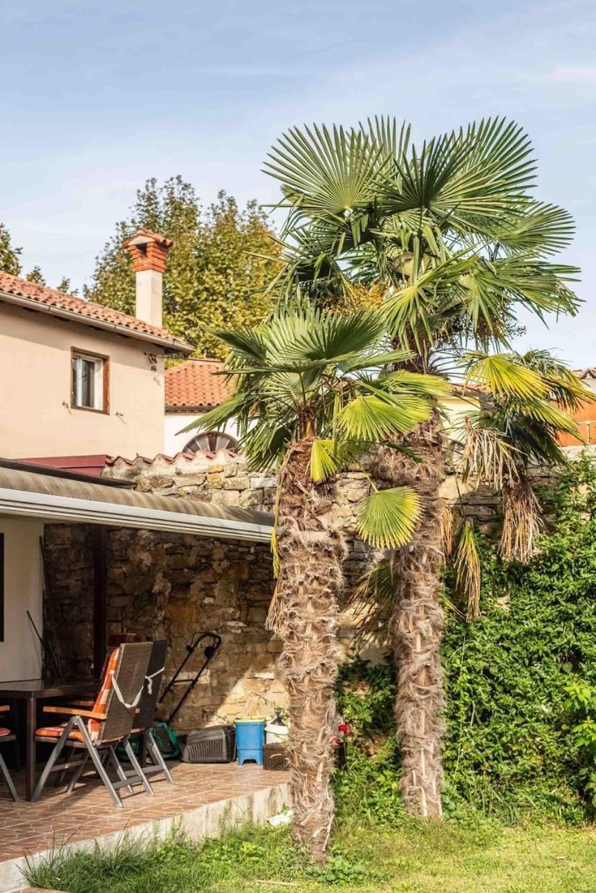 Cozy Corner Daire Koper Dış mekan fotoğraf